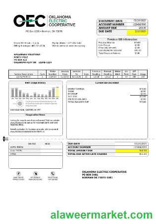 USA OEC electricity business utility bill template in Word and PDF formats